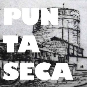 Curso puntaseca
