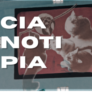 Curso cianotipia
